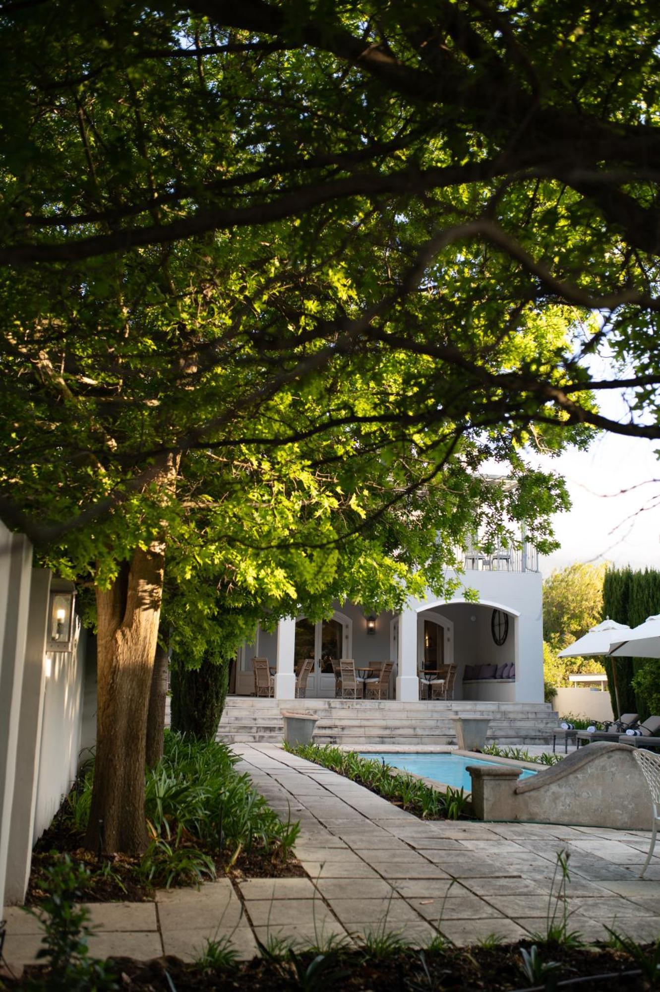 Maison D'Ail Guest House Франшхоек Екстериор снимка
